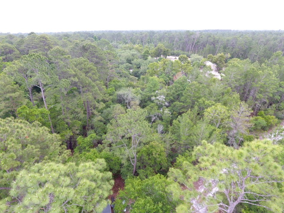 161 Snake Hill Road Crescent City FL 32112 V4948566 image5