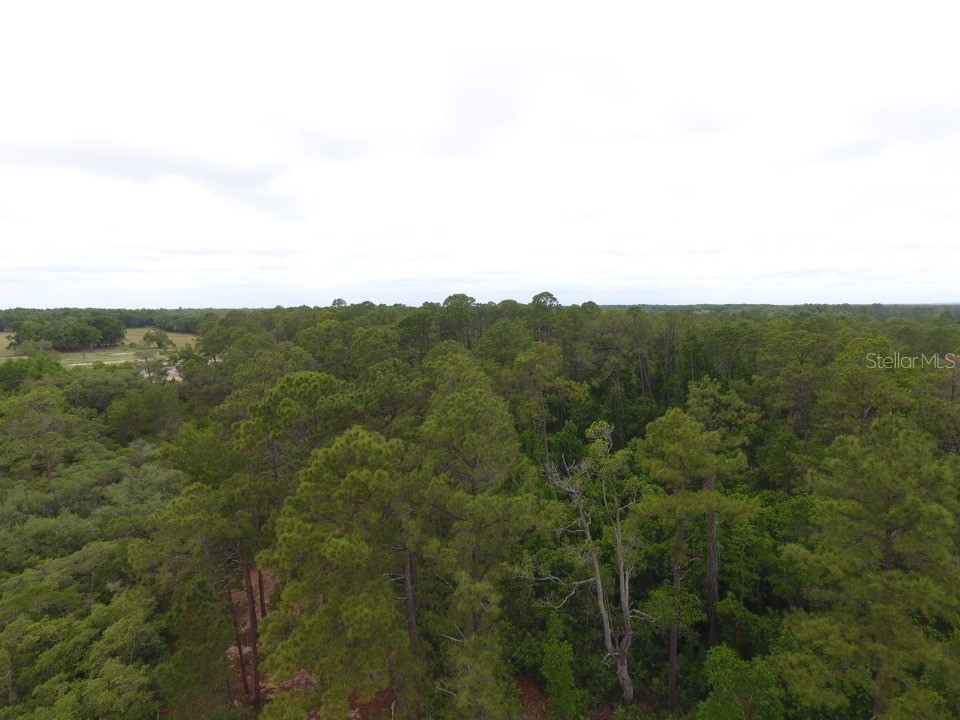 161 Snake Hill Road Crescent City FL 32112 V4948566 image6