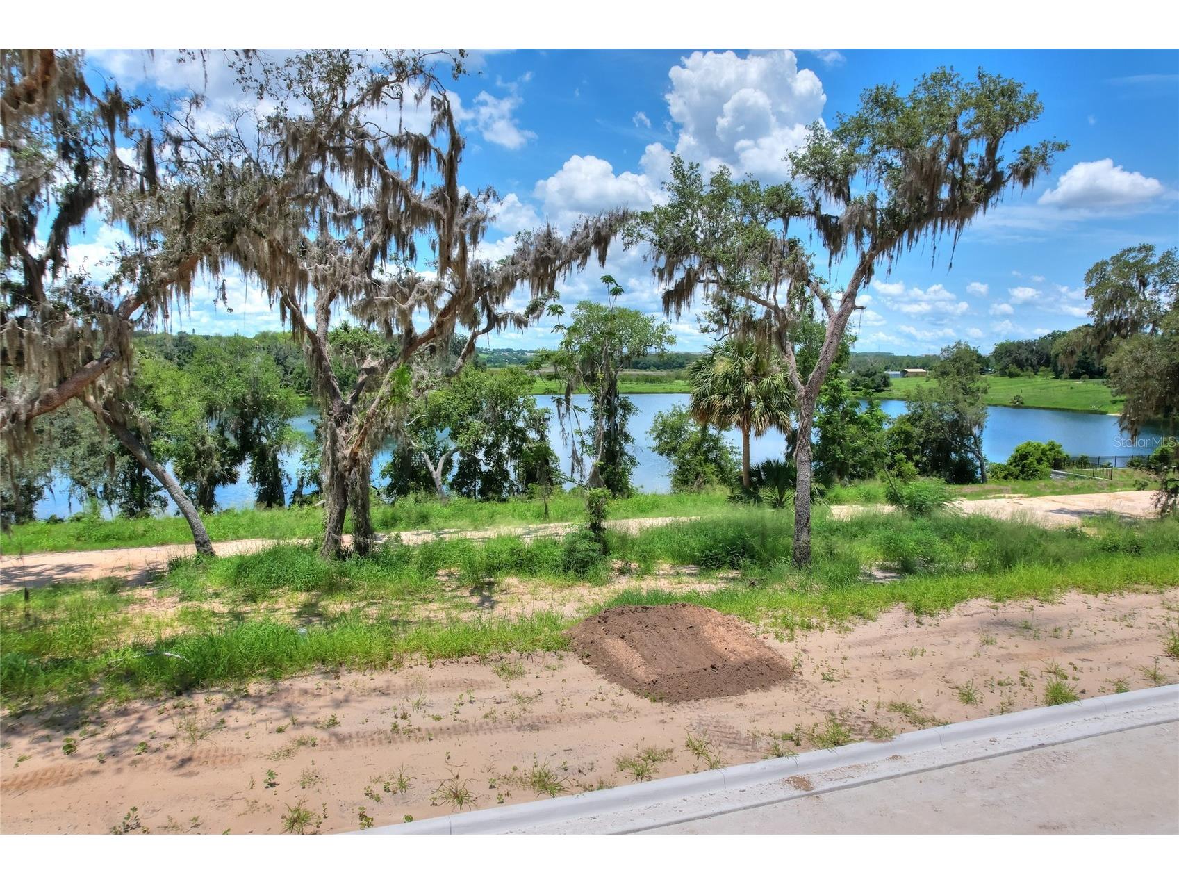 161 Tranquil Mirror Lake Court #LOT 9 Clermont FL 34711 - Mirror Lake O6391872 image13