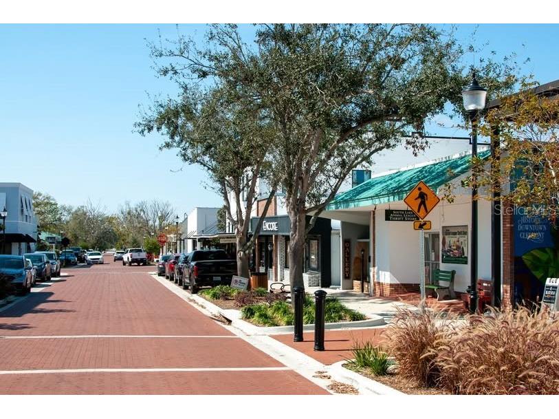 161 Tranquil Mirror Lake Court #LOT 9 Clermont FL 34711 - Mirror Lake O6391872 image27
