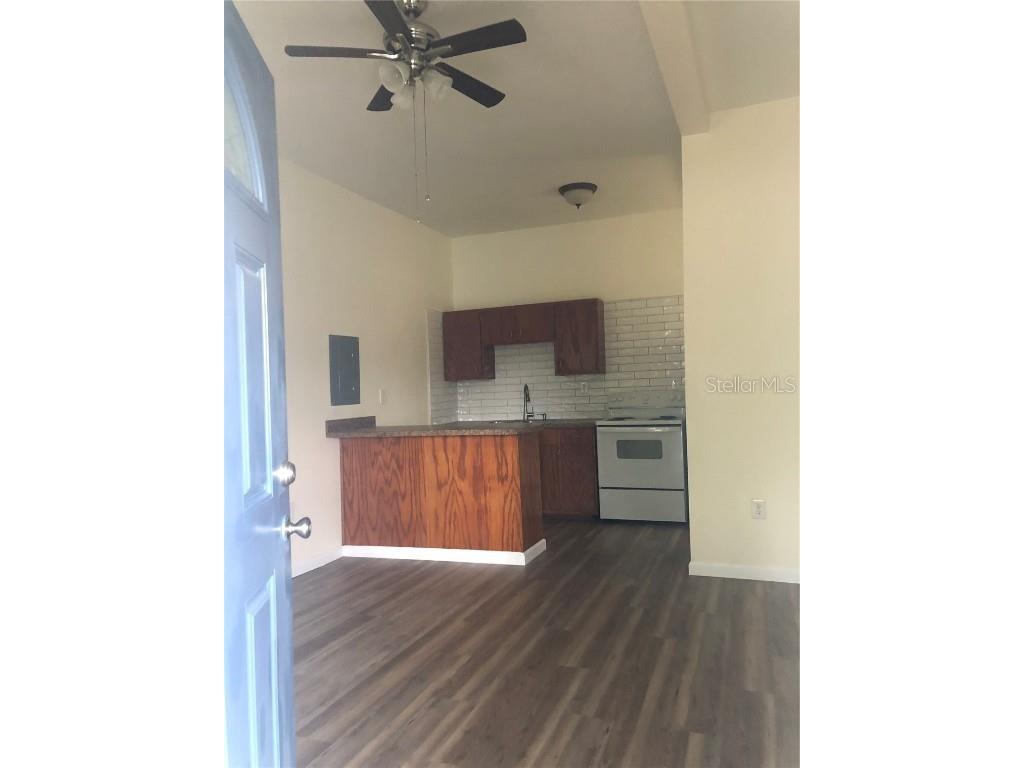 161 W 2nd Avenue Pierson FL 32180 V4942844 image13