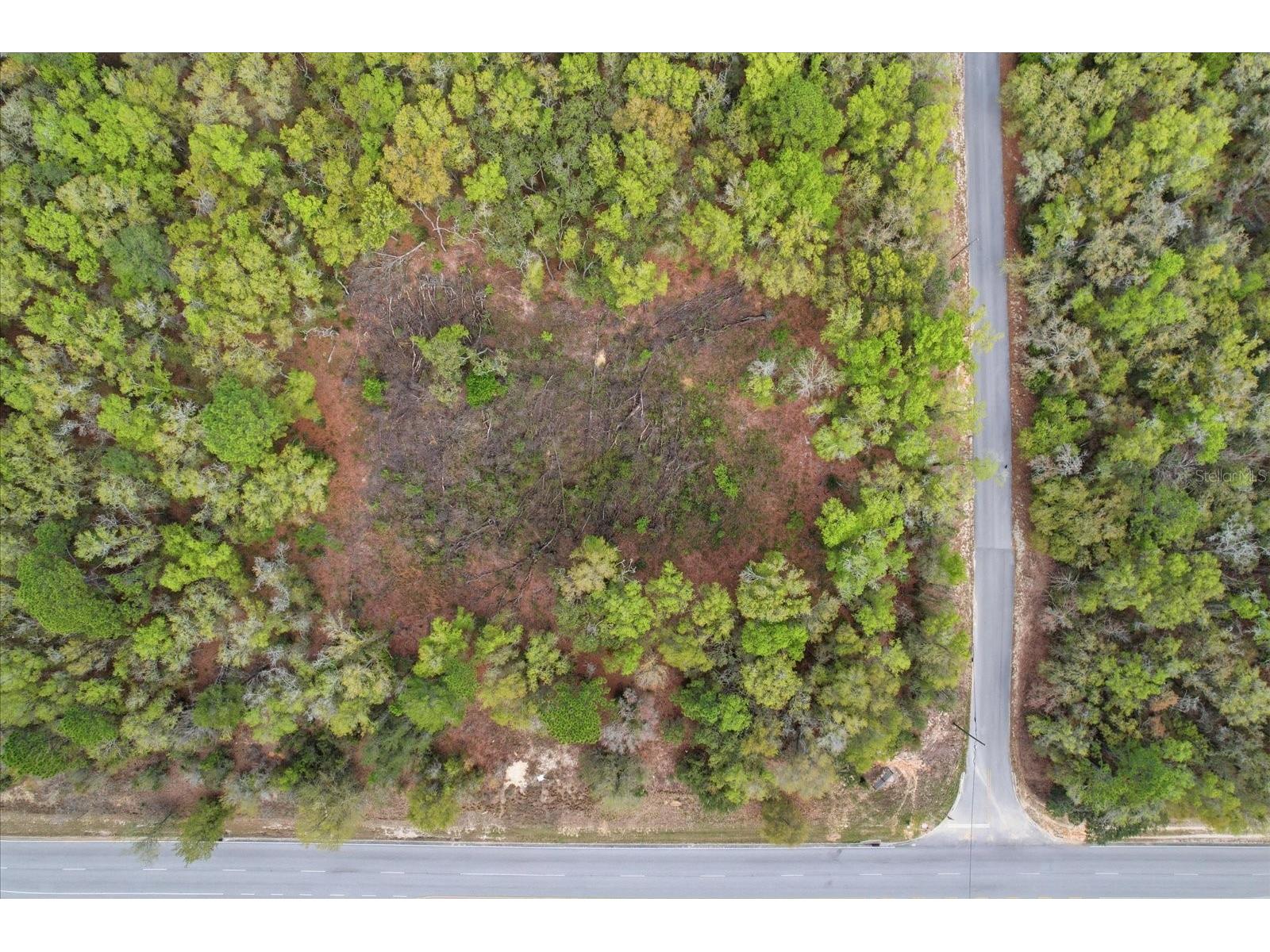 161 W Norvell Bryant Highway Hernando FL 34442 TB8485885 image11