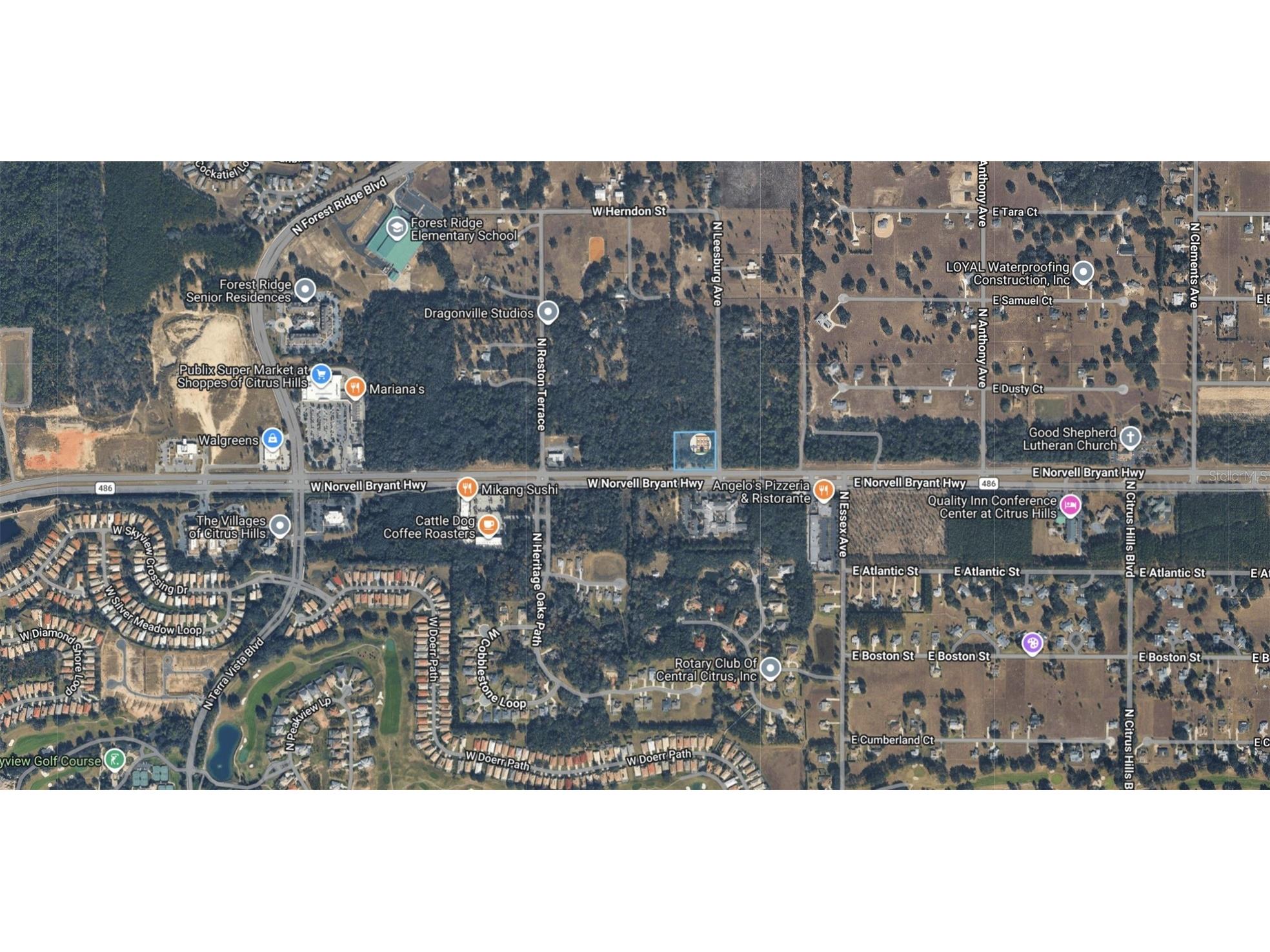 161 W Norvell Bryant Highway Hernando FL 34442 TB8485885 image2