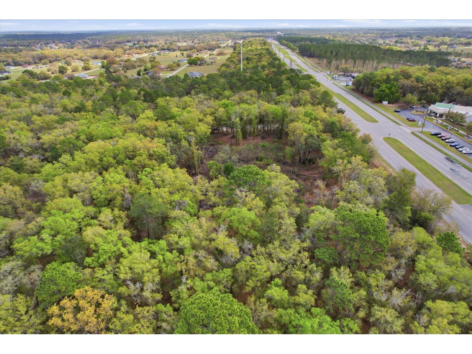 161 W Norvell Bryant Highway Hernando FL 34442 TB8485885 image23