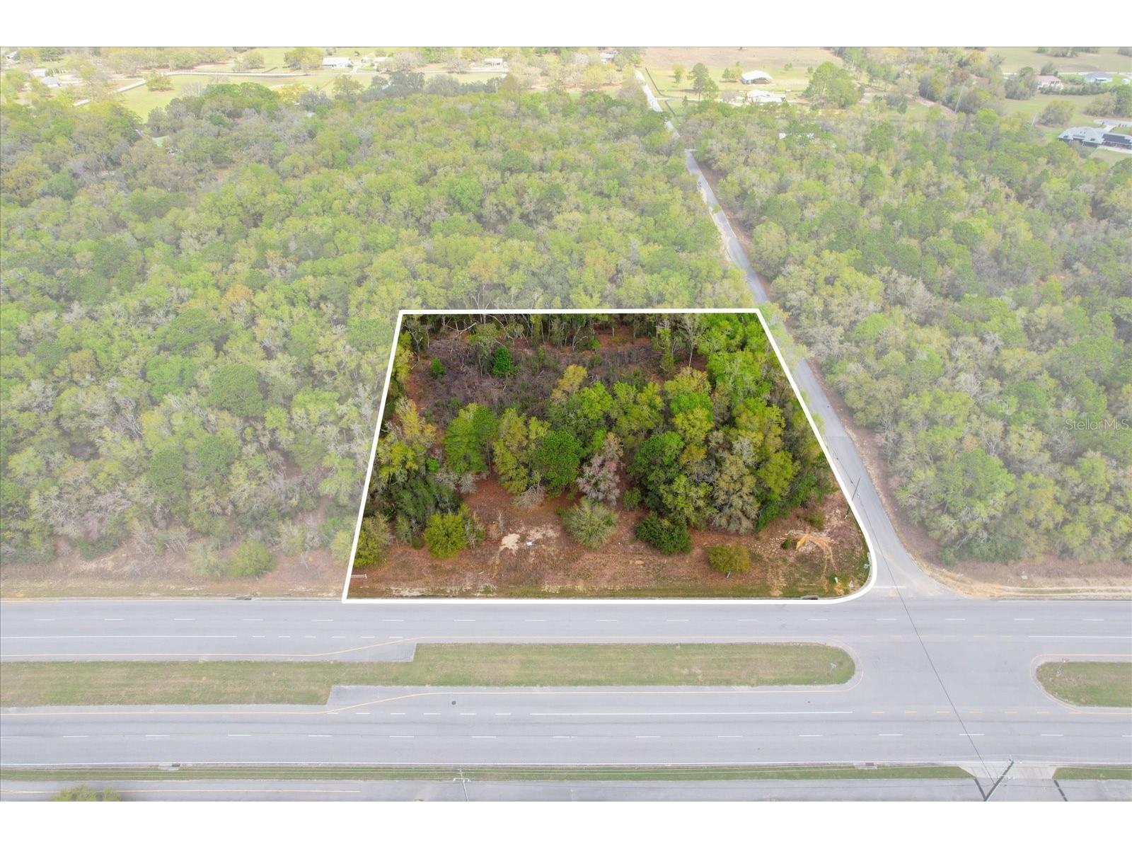 161 W Norvell Bryant Highway Hernando FL 34442 TB8485885 image6