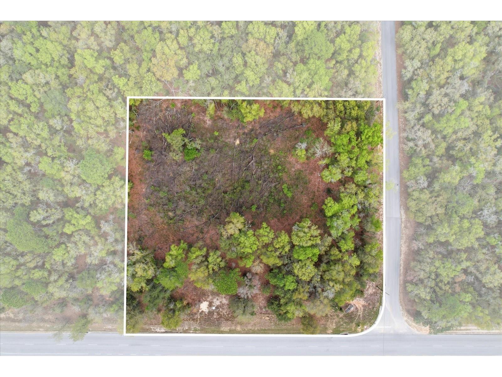 161 W Norvell Bryant Highway Hernando FL 34442 TB8485885 image7