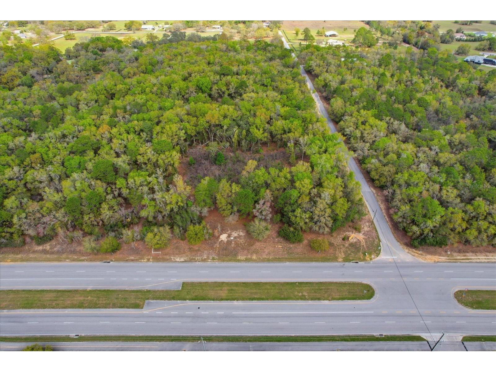 161 W Norvell Bryant Highway Hernando FL 34442 TB8492935 image10