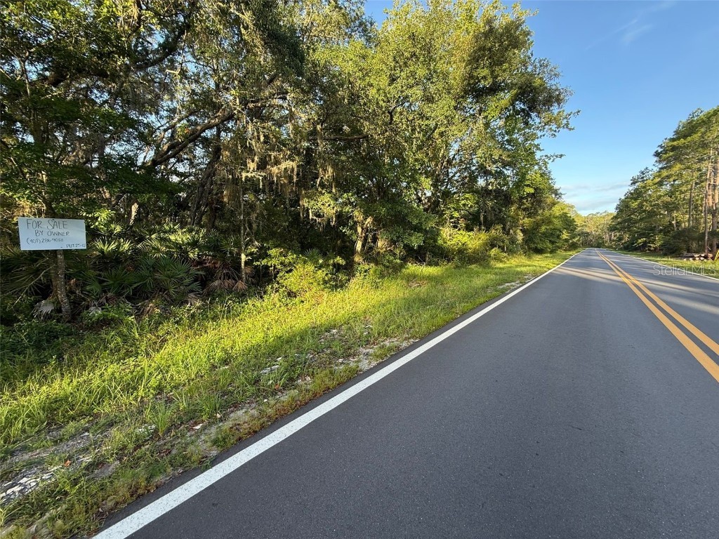161 Wallace Street Interlachen FL 32148 O6323899 image1