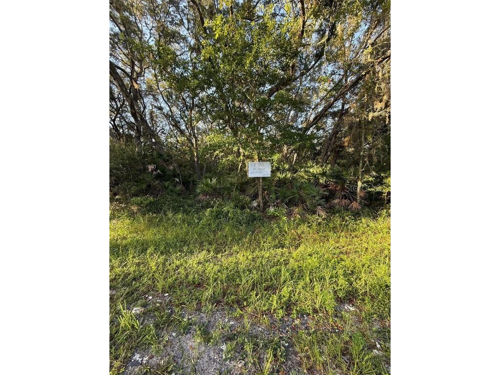 161 Wallace Street Interlachen FL 32148 O6323899 image3