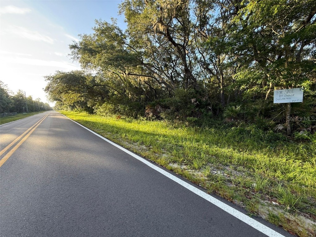 161 Wallace Street Interlachen FL 32148 O6323899 image5
