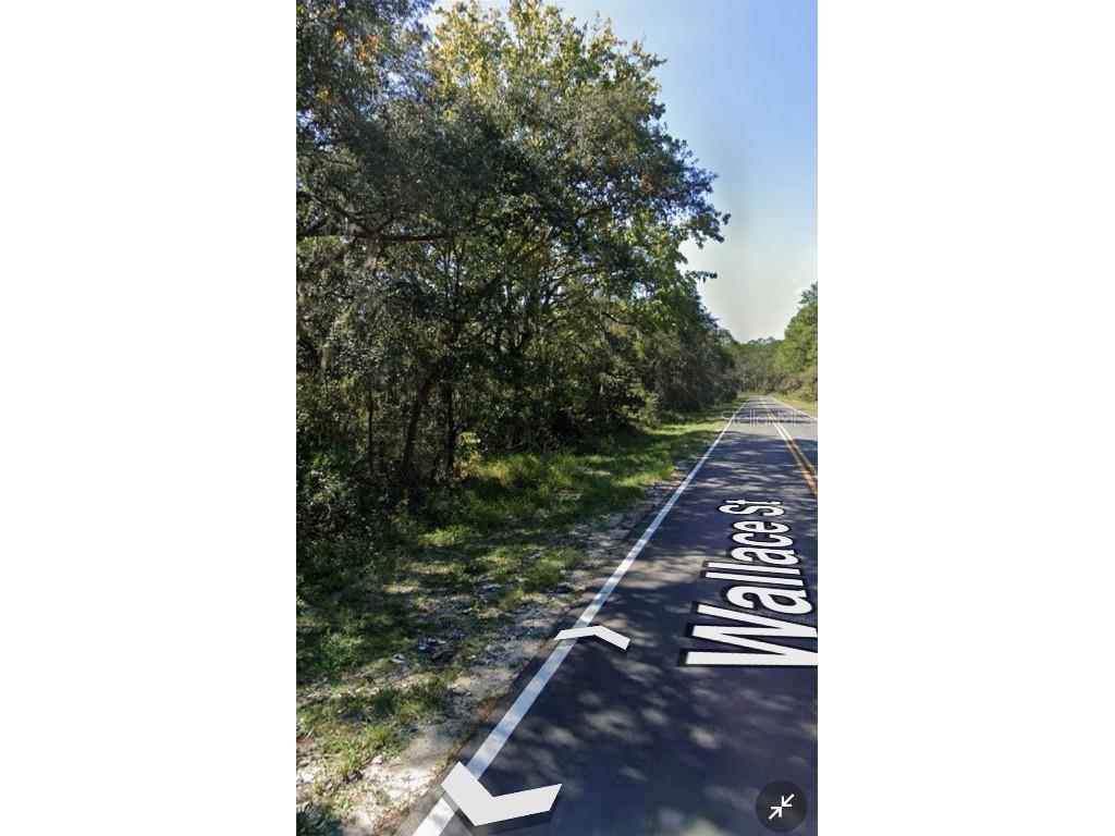 161 Wallace Street Interlachen FL 32148 O6323899 image6