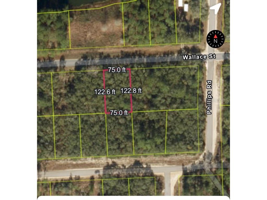 161 Wallace Street Interlachen FL 32148 O6323899 image8