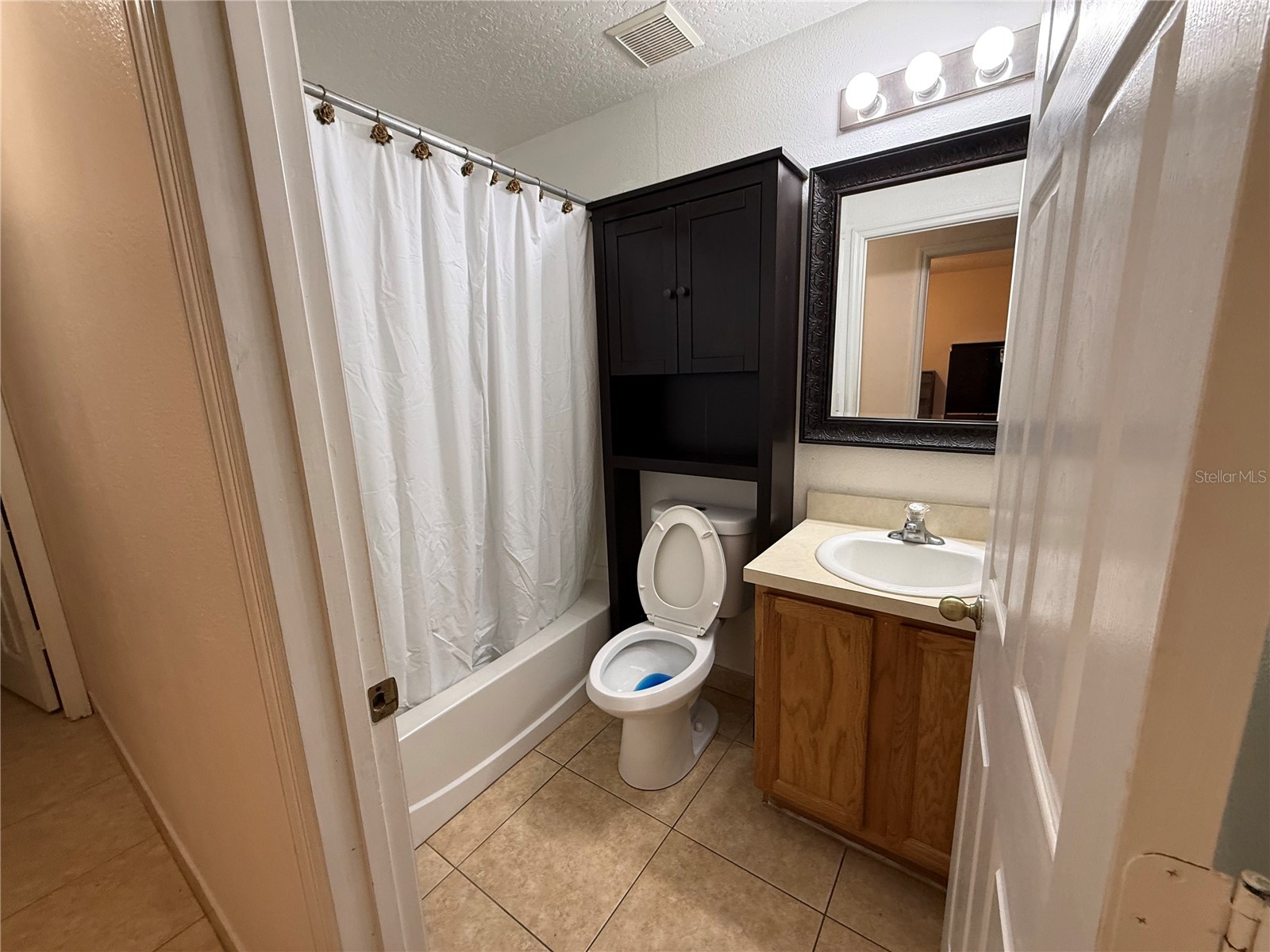 161 Windrose Drive Orlando FL 32824 S5153334 image20