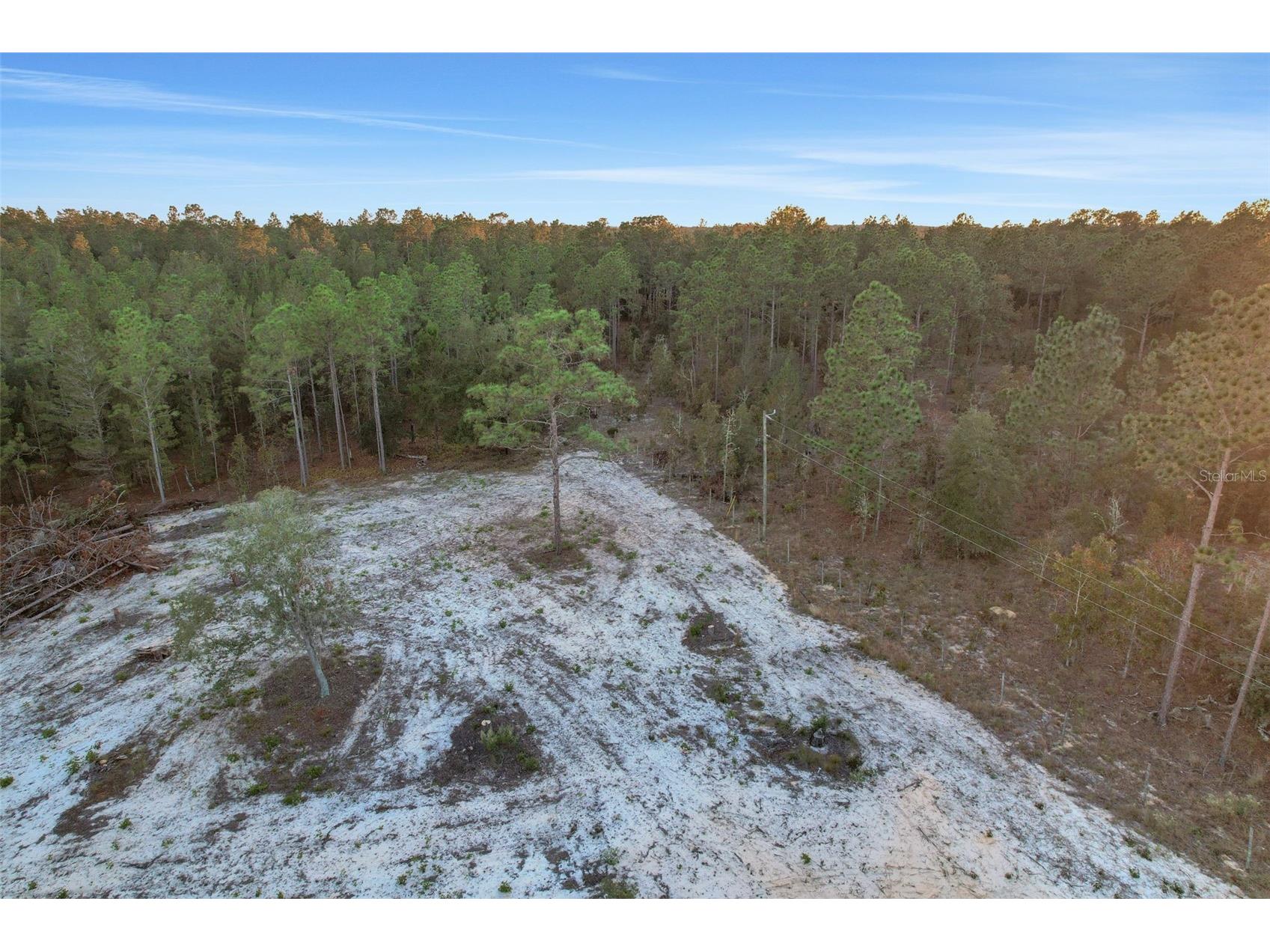 161 Windy Hills Road Hawthorne FL 32640 V4949666 image12