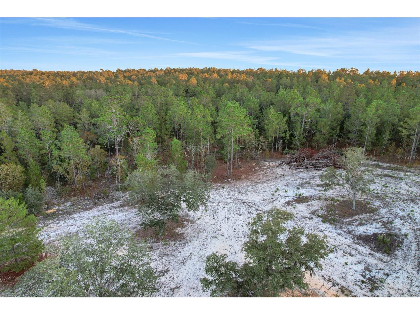 161 Windy Hills Road Hawthorne FL 32640 V4949666 image9