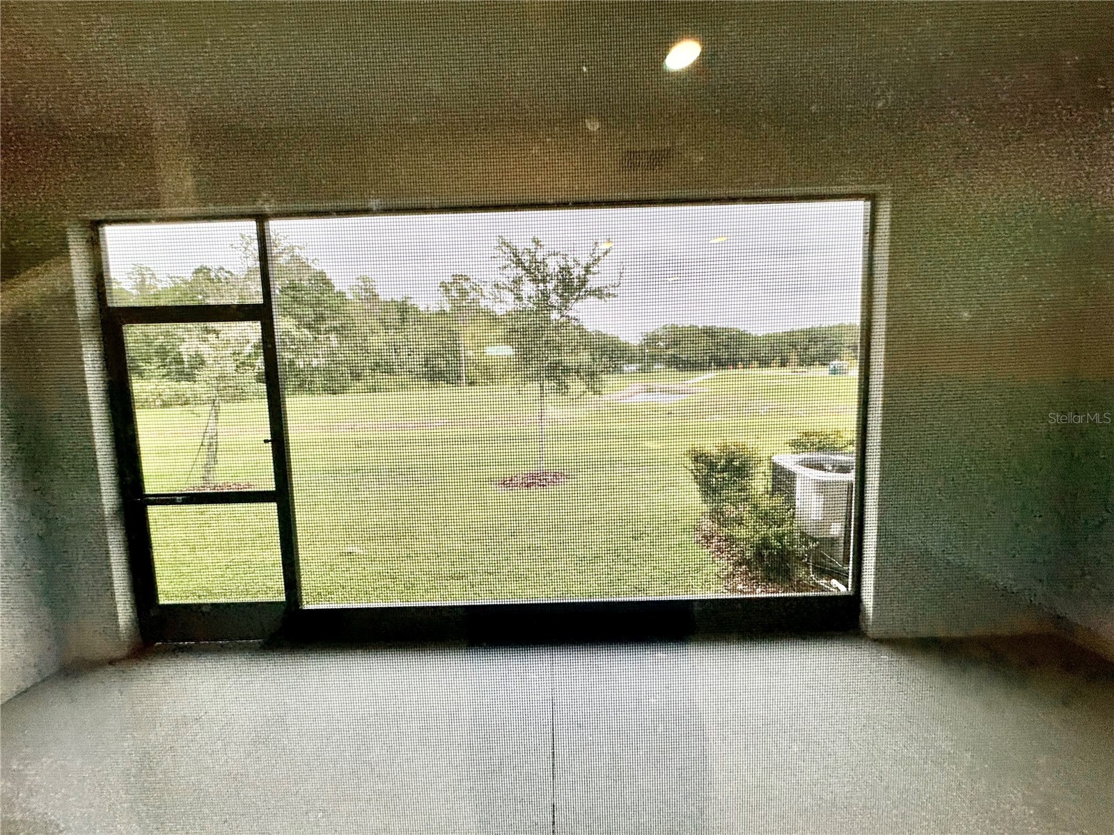 1610 Colt Creek Place Wesley Chapel FL 33543 TB8487896 image34