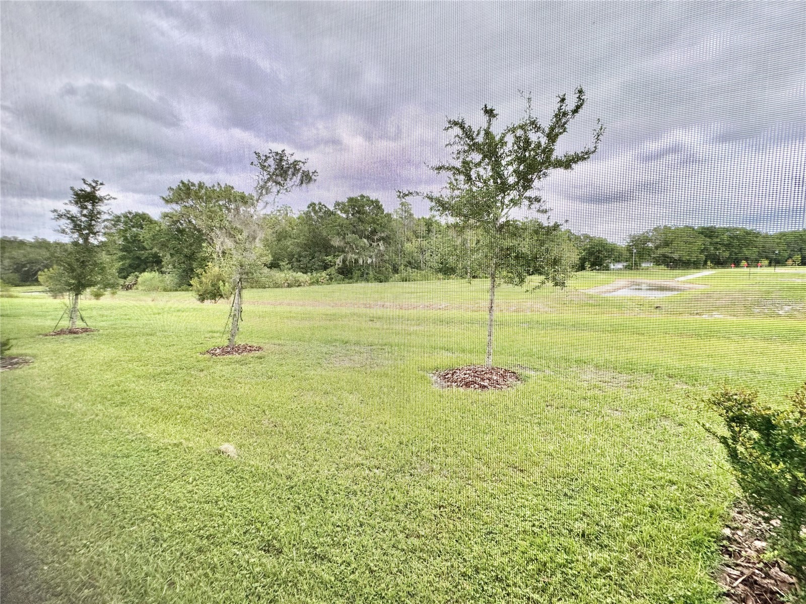 1610 Colt Creek Place Wesley Chapel FL 33543 TB8487896 image36