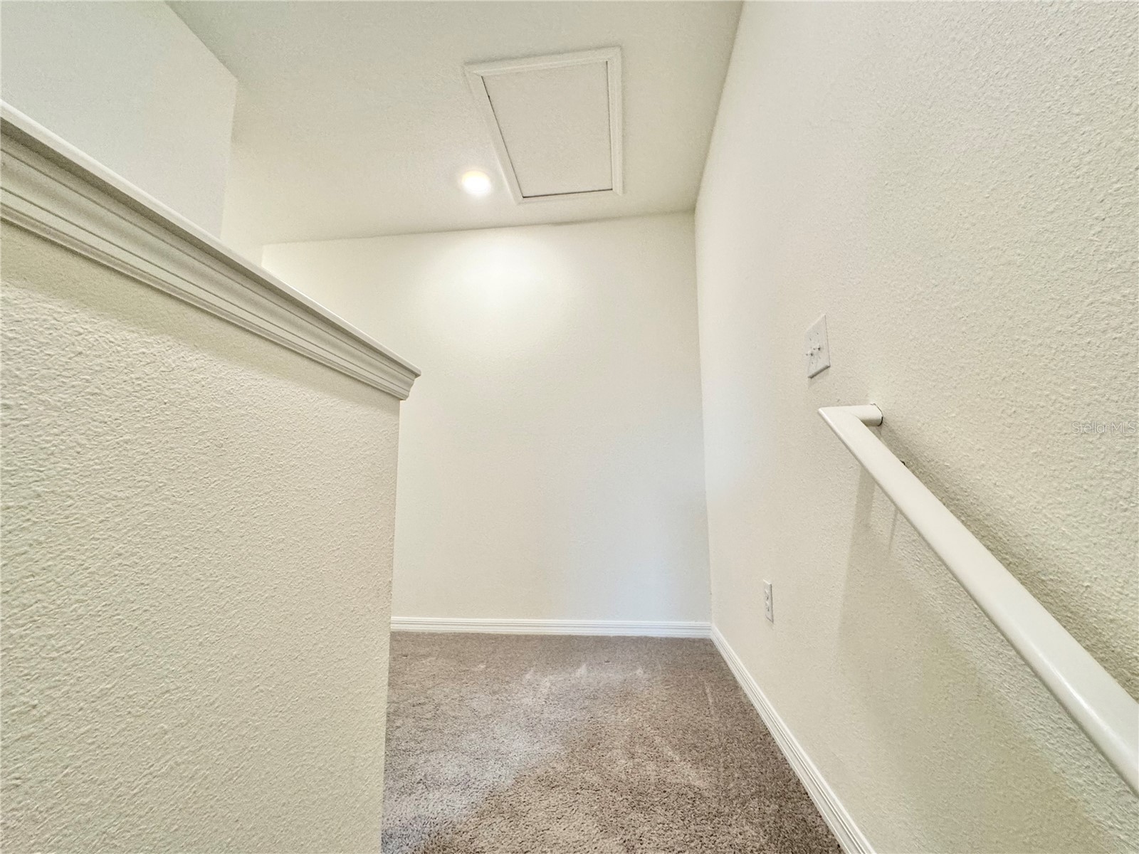 1610 Colt Creek Place Wesley Chapel FL 33543 TB8487896 image39