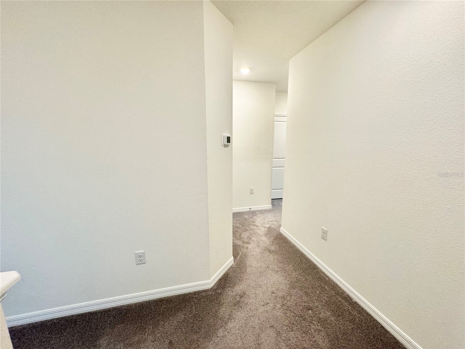 1610 Colt Creek Place Wesley Chapel FL 33543 TB8487896 image46