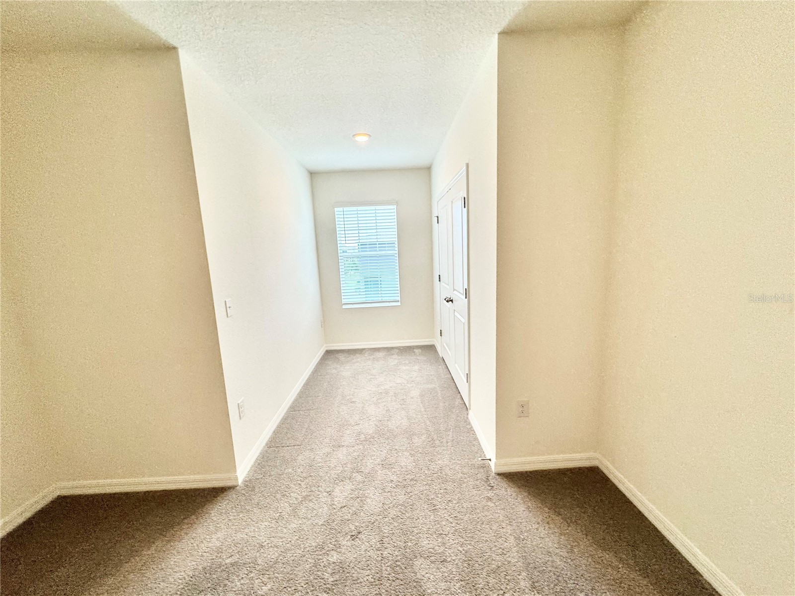 1610 Colt Creek Place Wesley Chapel FL 33543 TB8487896 image72