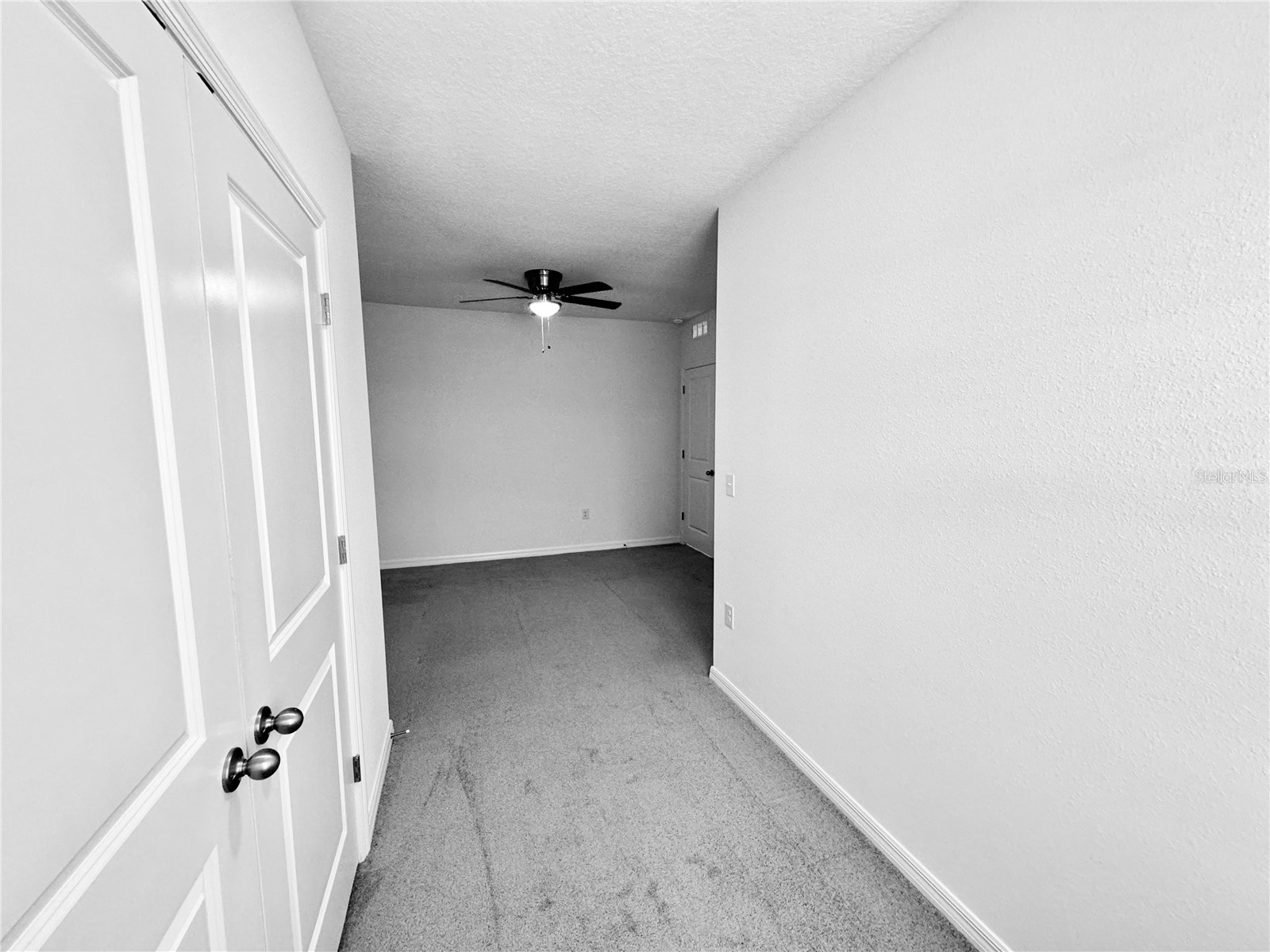 1610 Colt Creek Place Wesley Chapel FL 33543 TB8487896 image73