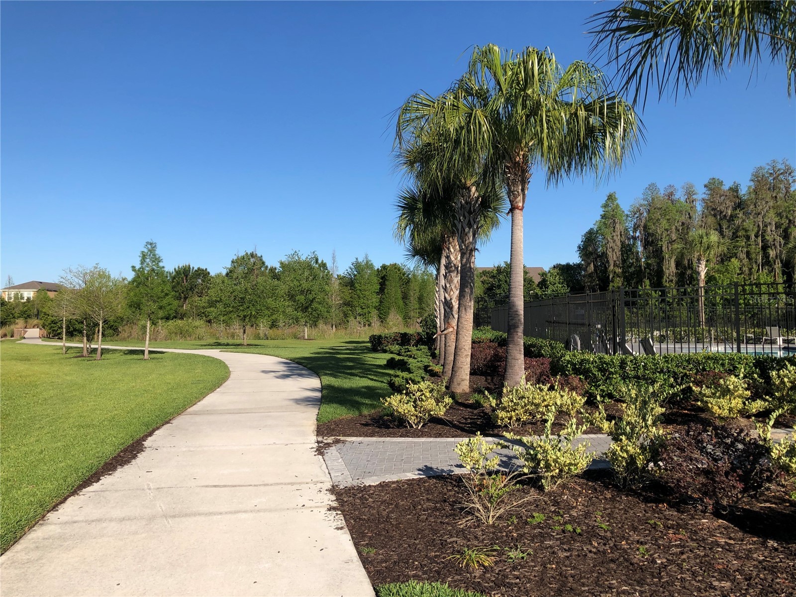 1610 Colt Creek Place Wesley Chapel FL 33543 TB8487896 image82