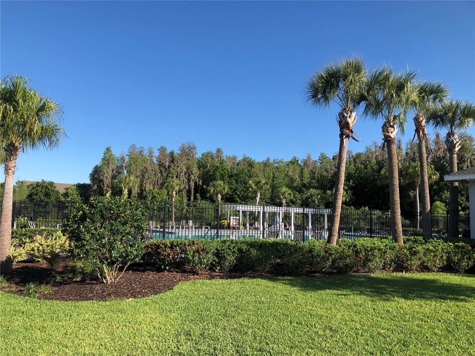 1610 Colt Creek Place Wesley Chapel FL 33543 TB8487896 image83