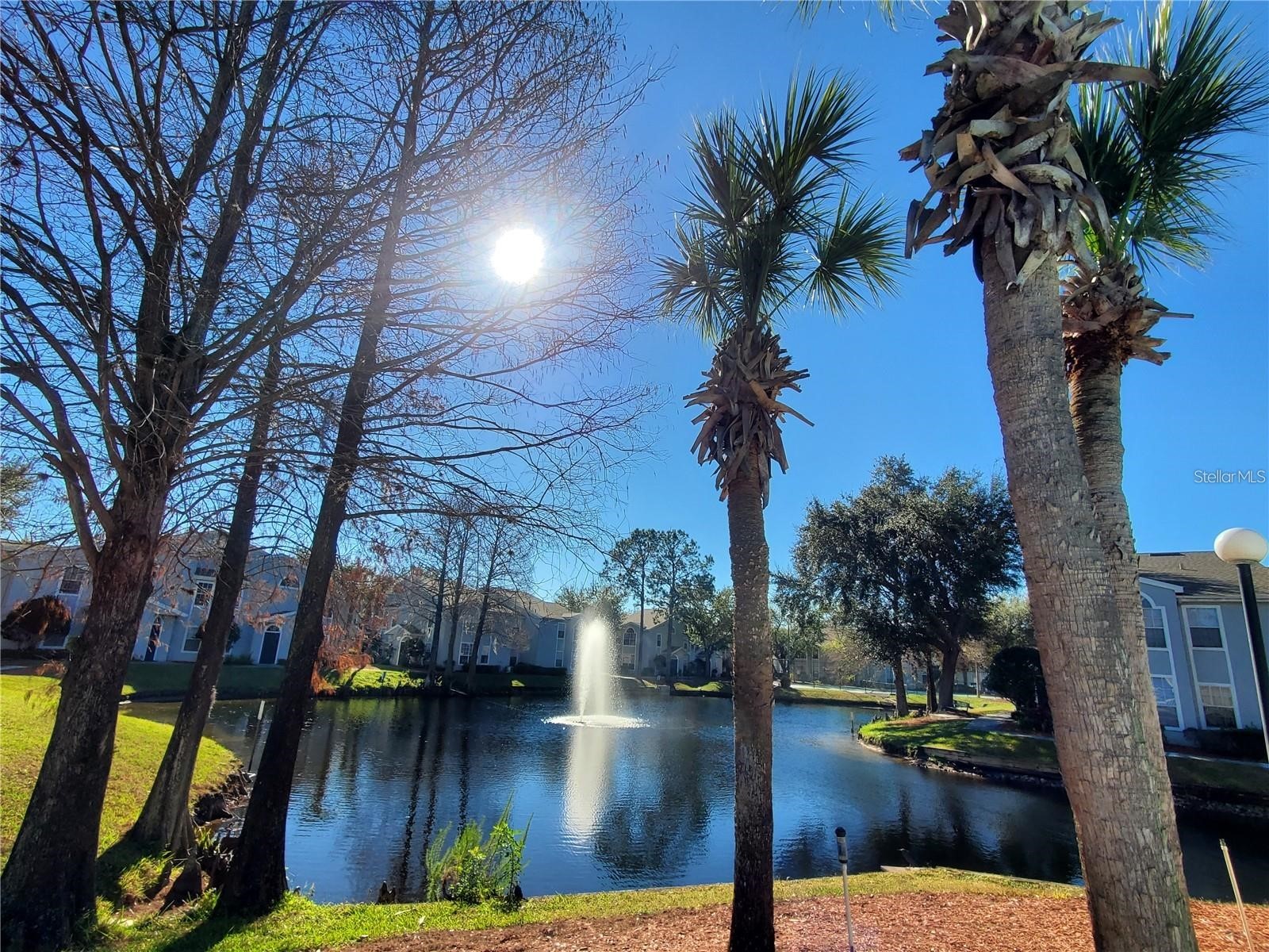 1610 Columbia Arms Circle #131 Kissimmee FL 34741 O6401044 image29