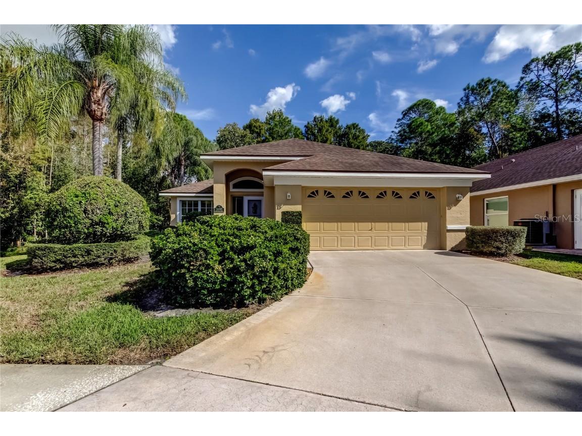 1610 Cortleigh Drive Trinity FL 34655 TB8446272 image1