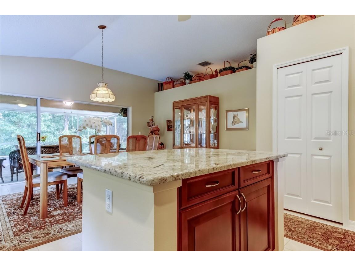 1610 Cortleigh Drive Trinity FL 34655 TB8446272 image18