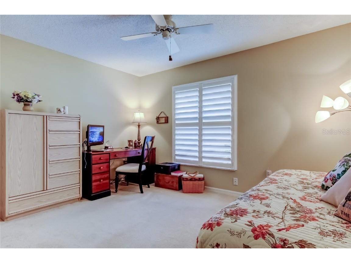1610 Cortleigh Drive Trinity FL 34655 TB8446272 image34