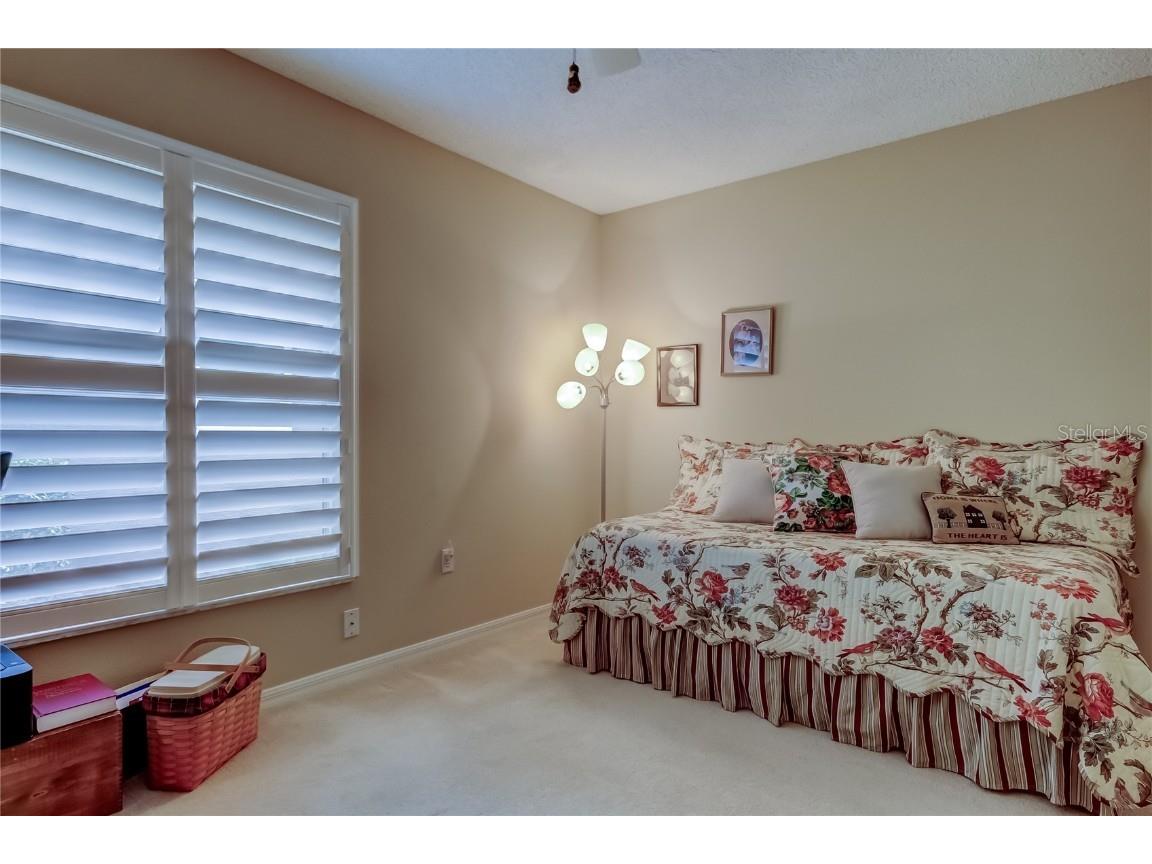 1610 Cortleigh Drive Trinity FL 34655 TB8446272 image35