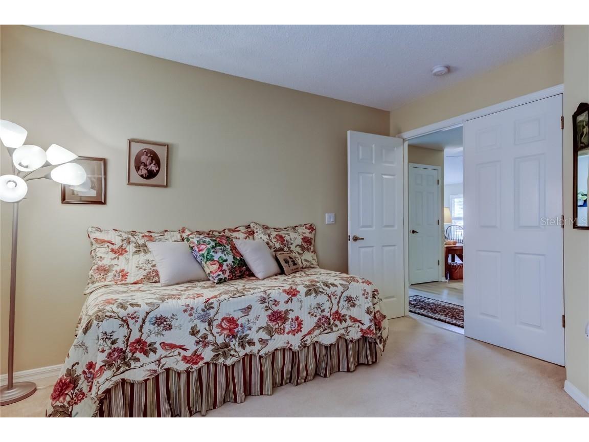 1610 Cortleigh Drive Trinity FL 34655 TB8446272 image36