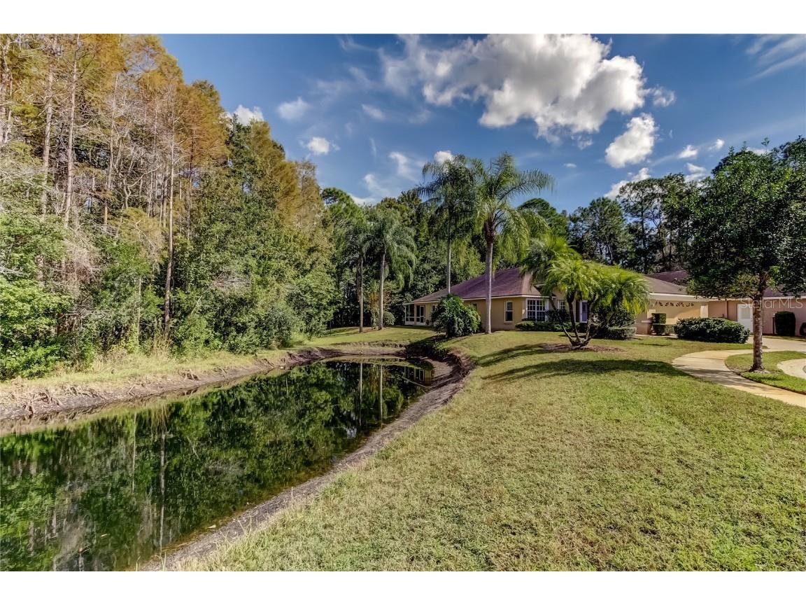 1610 Cortleigh Drive Trinity FL 34655 TB8446272 image4