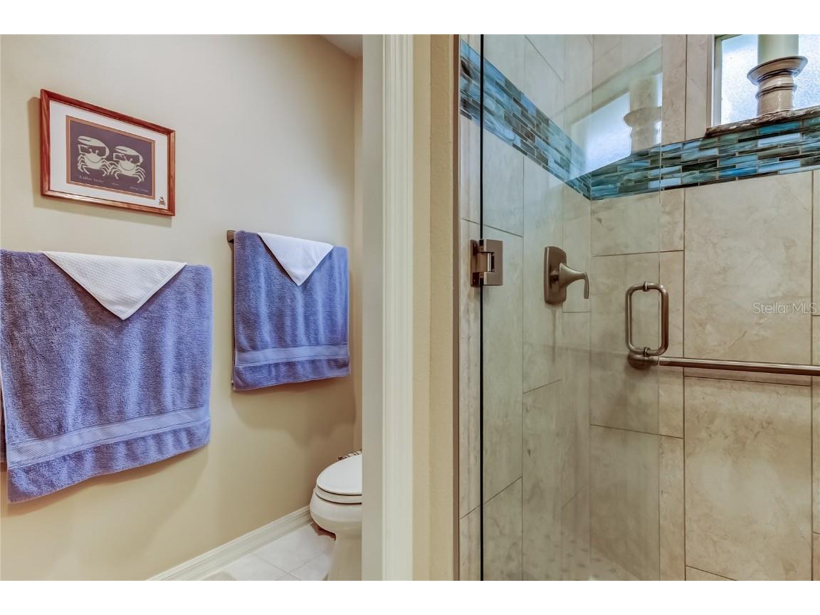 1610 Cortleigh Drive Trinity FL 34655 TB8446272 image43