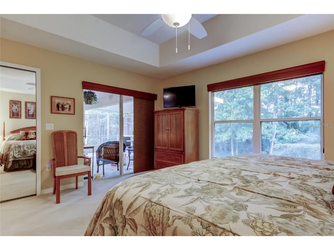 1610 Cortleigh Drive Trinity FL 34655 TB8446272 image46