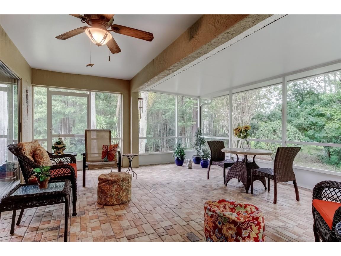 1610 Cortleigh Drive Trinity FL 34655 TB8446272 image49