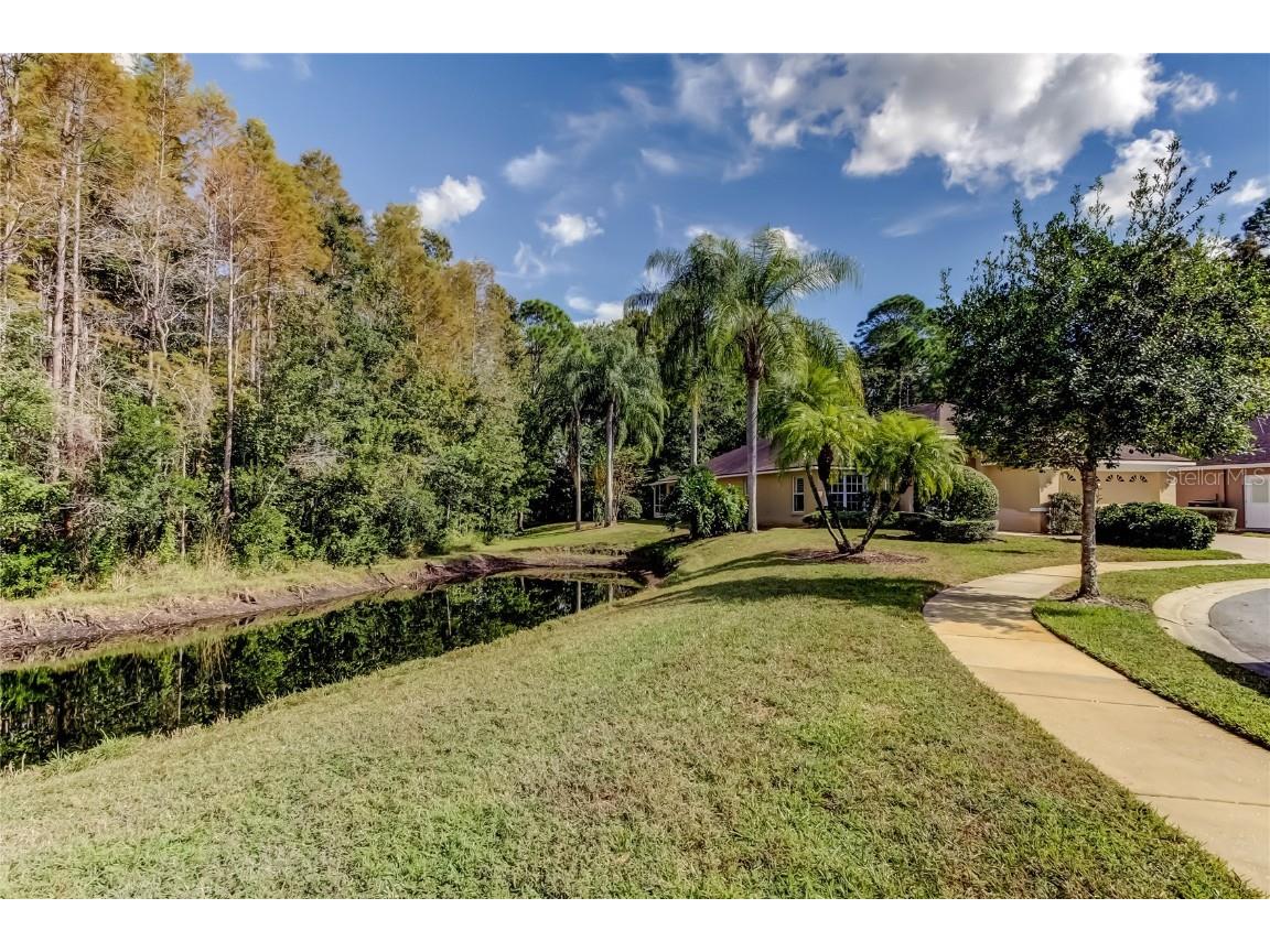 1610 Cortleigh Drive Trinity FL 34655 TB8446272 image5