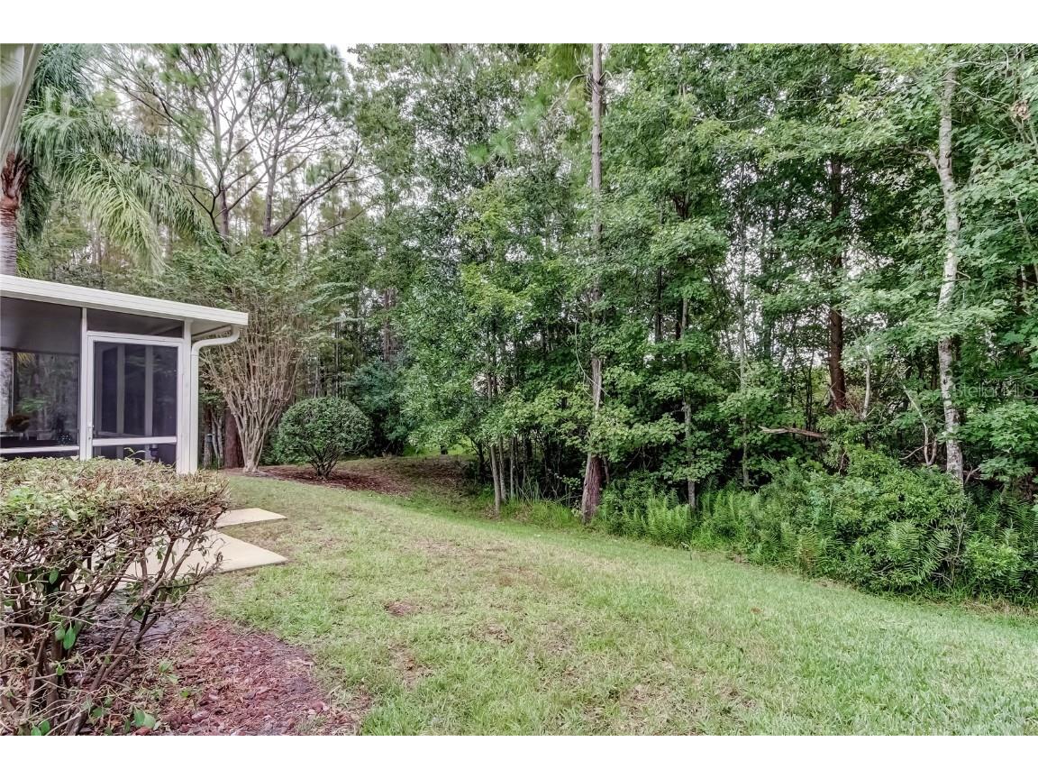 1610 Cortleigh Drive Trinity FL 34655 TB8446272 image55