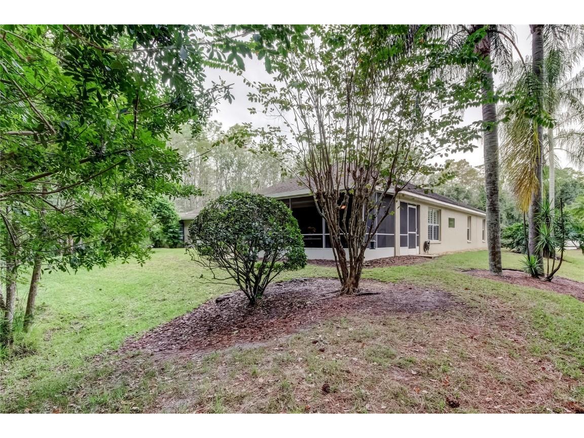 1610 Cortleigh Drive Trinity FL 34655 TB8446272 image57