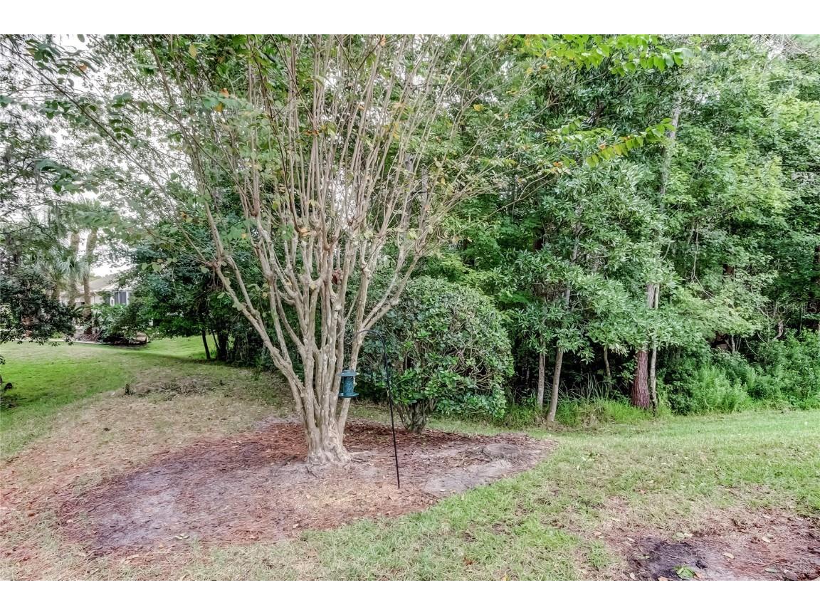 1610 Cortleigh Drive Trinity FL 34655 TB8446272 image58