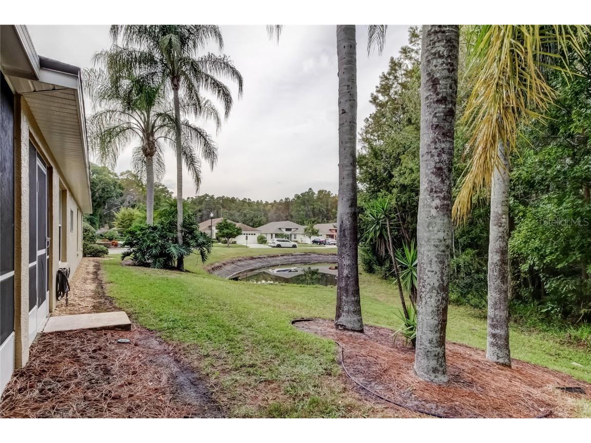 1610 Cortleigh Drive Trinity FL 34655 TB8446272 image59