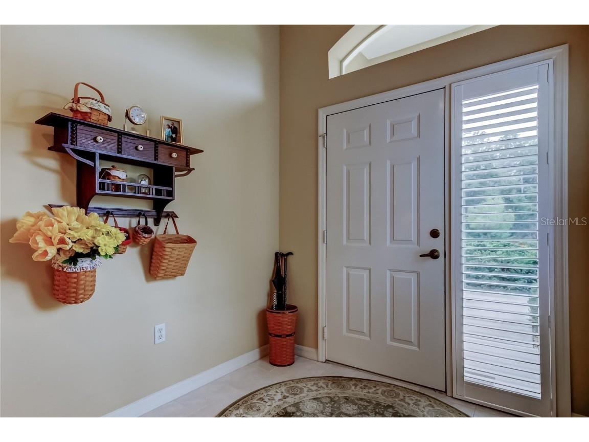 1610 Cortleigh Drive Trinity FL 34655 TB8446272 image6