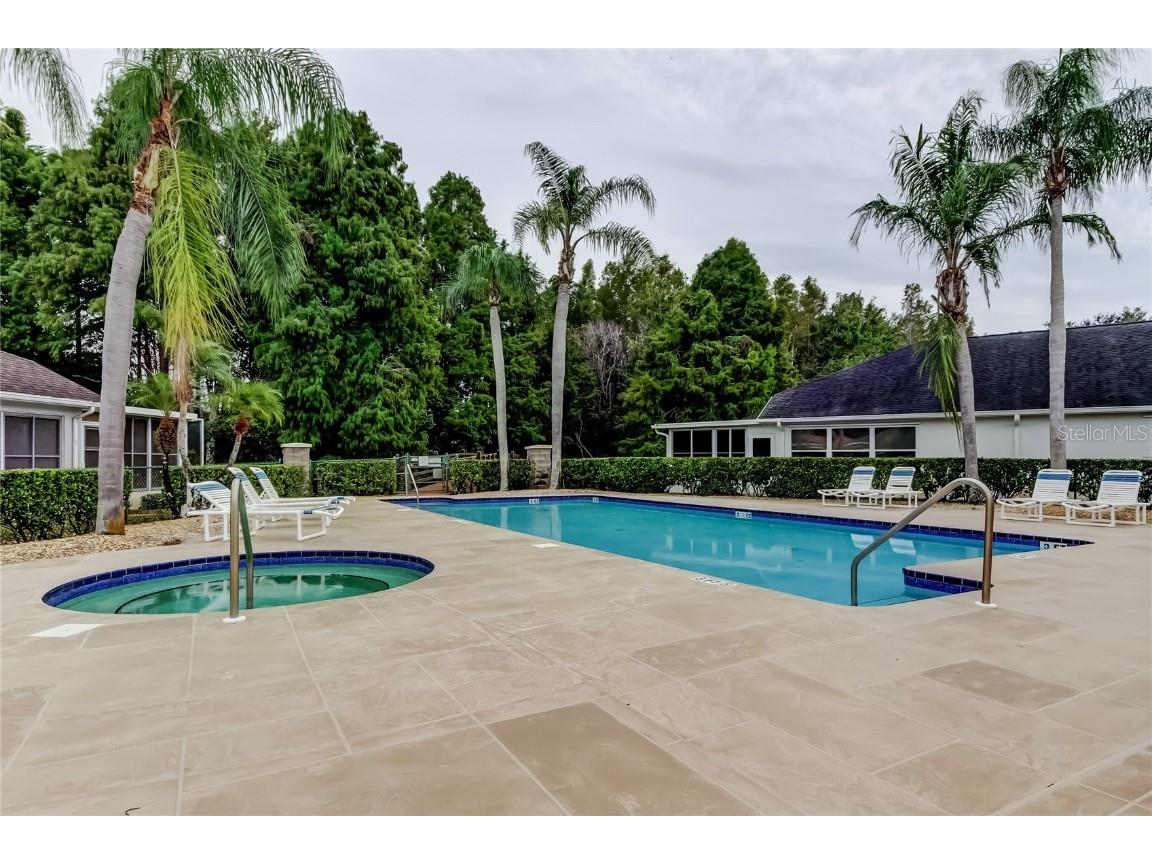 1610 Cortleigh Drive Trinity FL 34655 TB8446272 image60