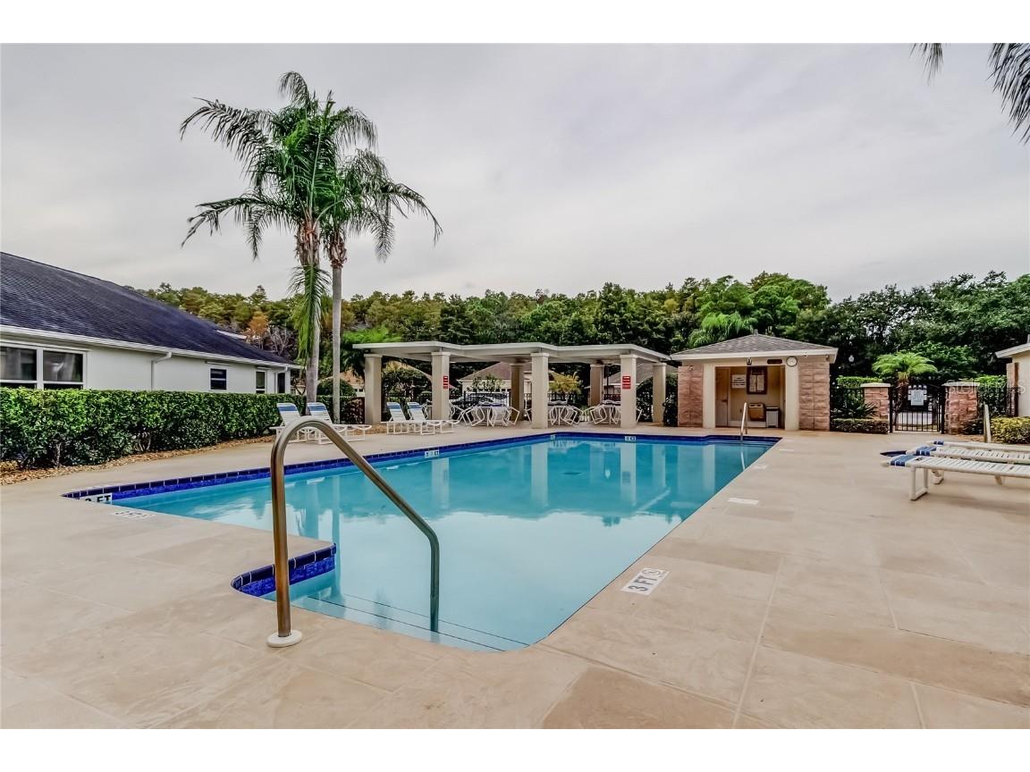 1610 Cortleigh Drive Trinity FL 34655 TB8446272 image64