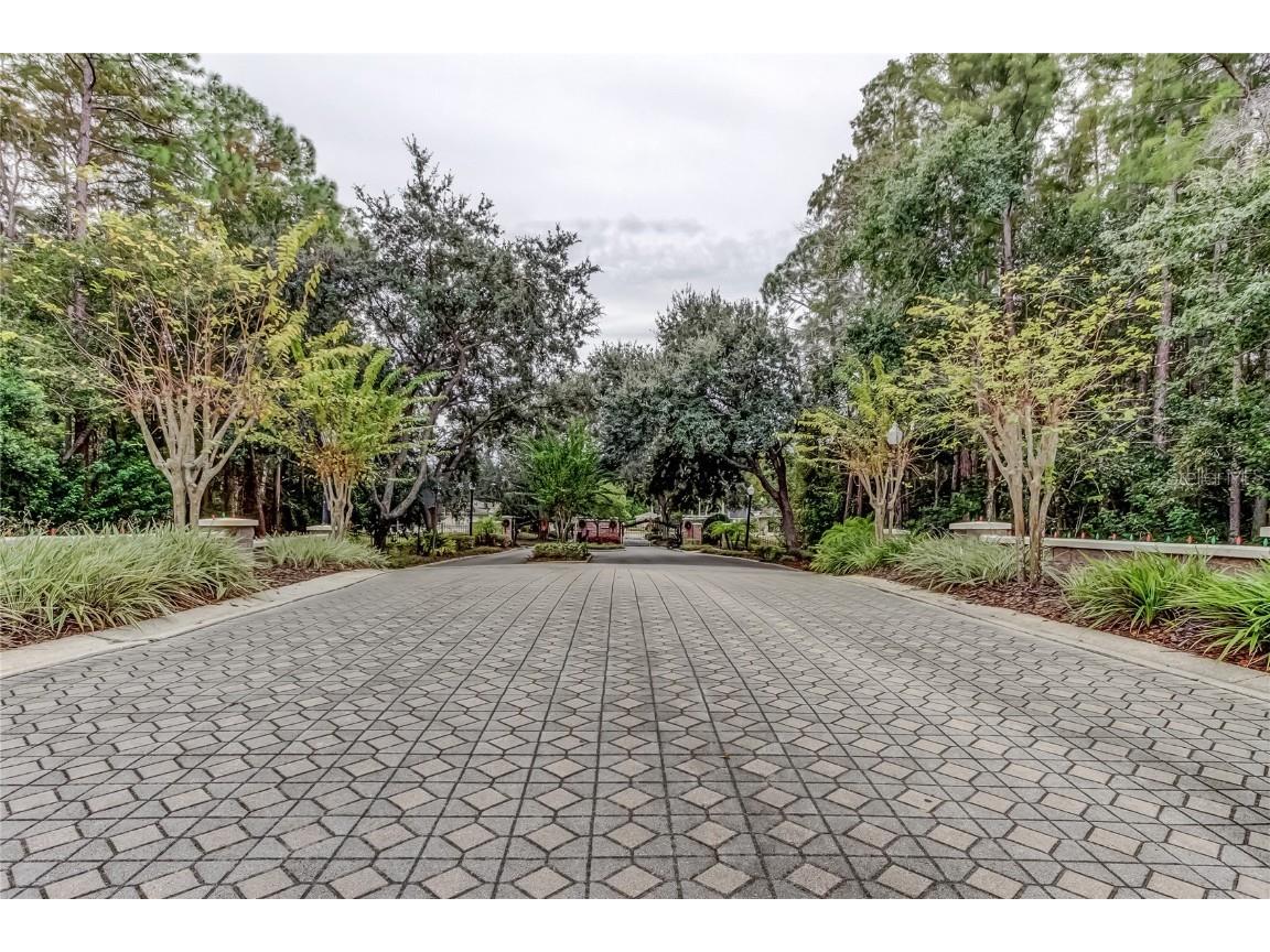 1610 Cortleigh Drive Trinity FL 34655 TB8446272 image65