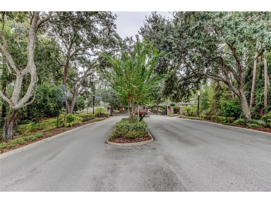 1610 Cortleigh Drive Trinity FL 34655 TB8446272 image66