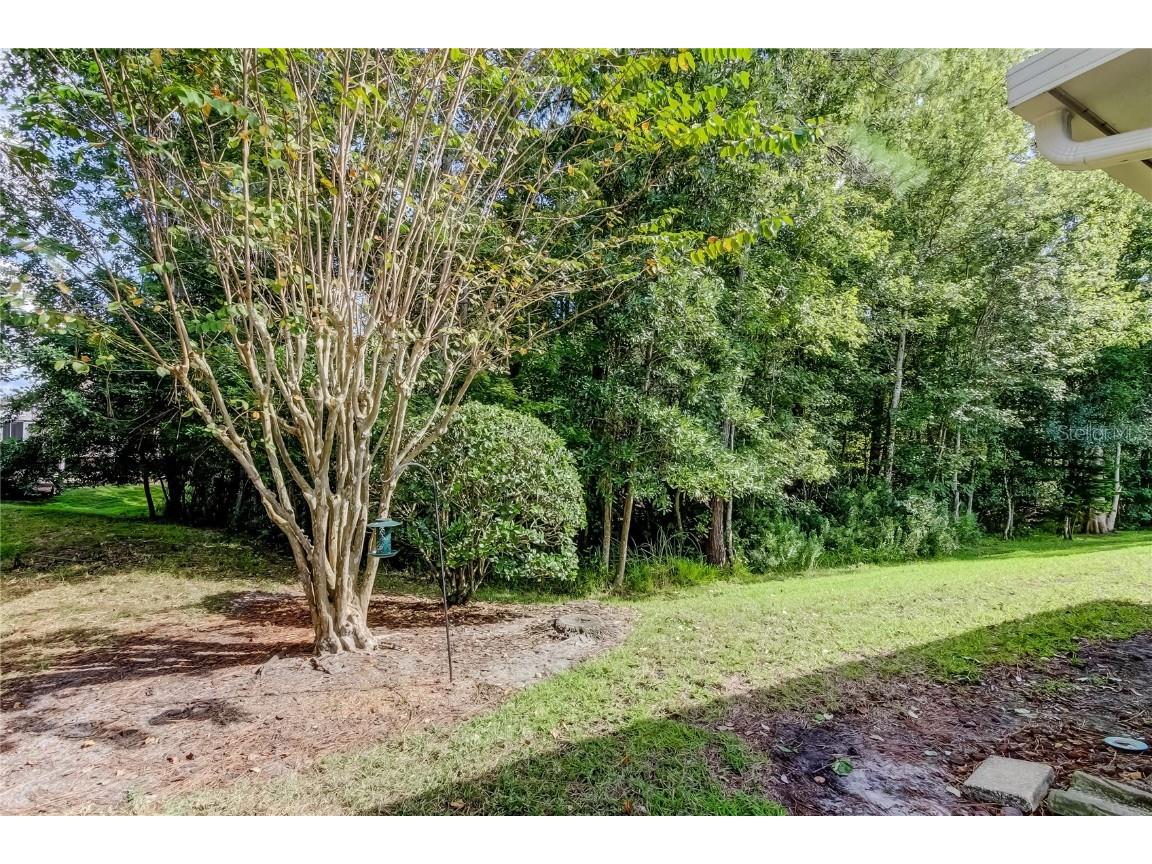 1610 Cortleigh Drive Trinity FL 34655 TB8446272 image68