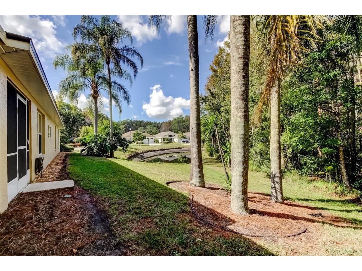 1610 Cortleigh Drive Trinity FL 34655 TB8446272 image70