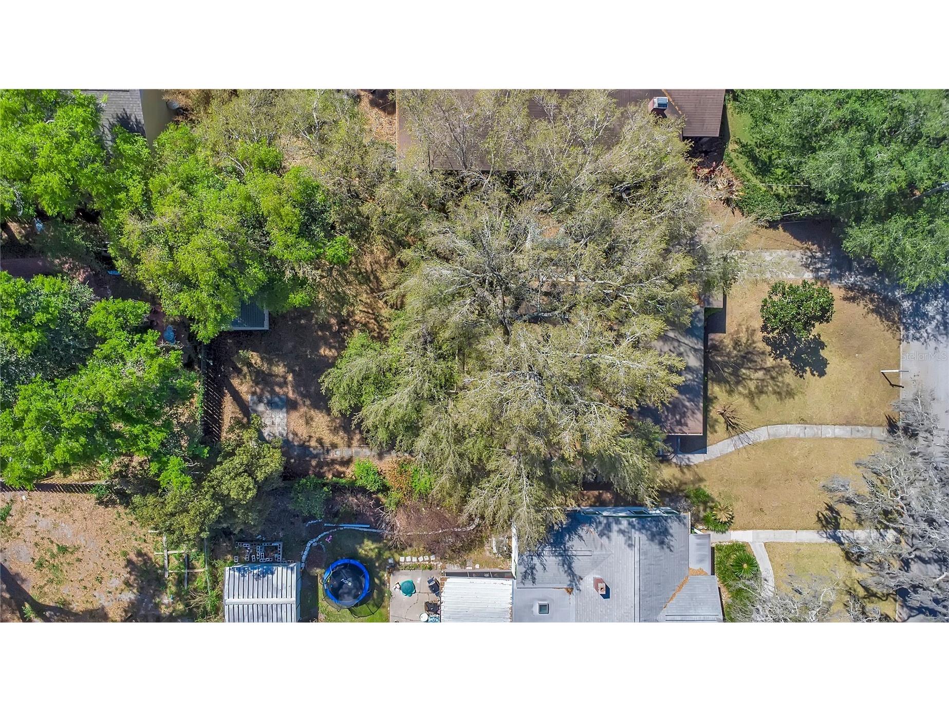 1610 E Jefferson Street Orlando FL 32803 O6392891 image33